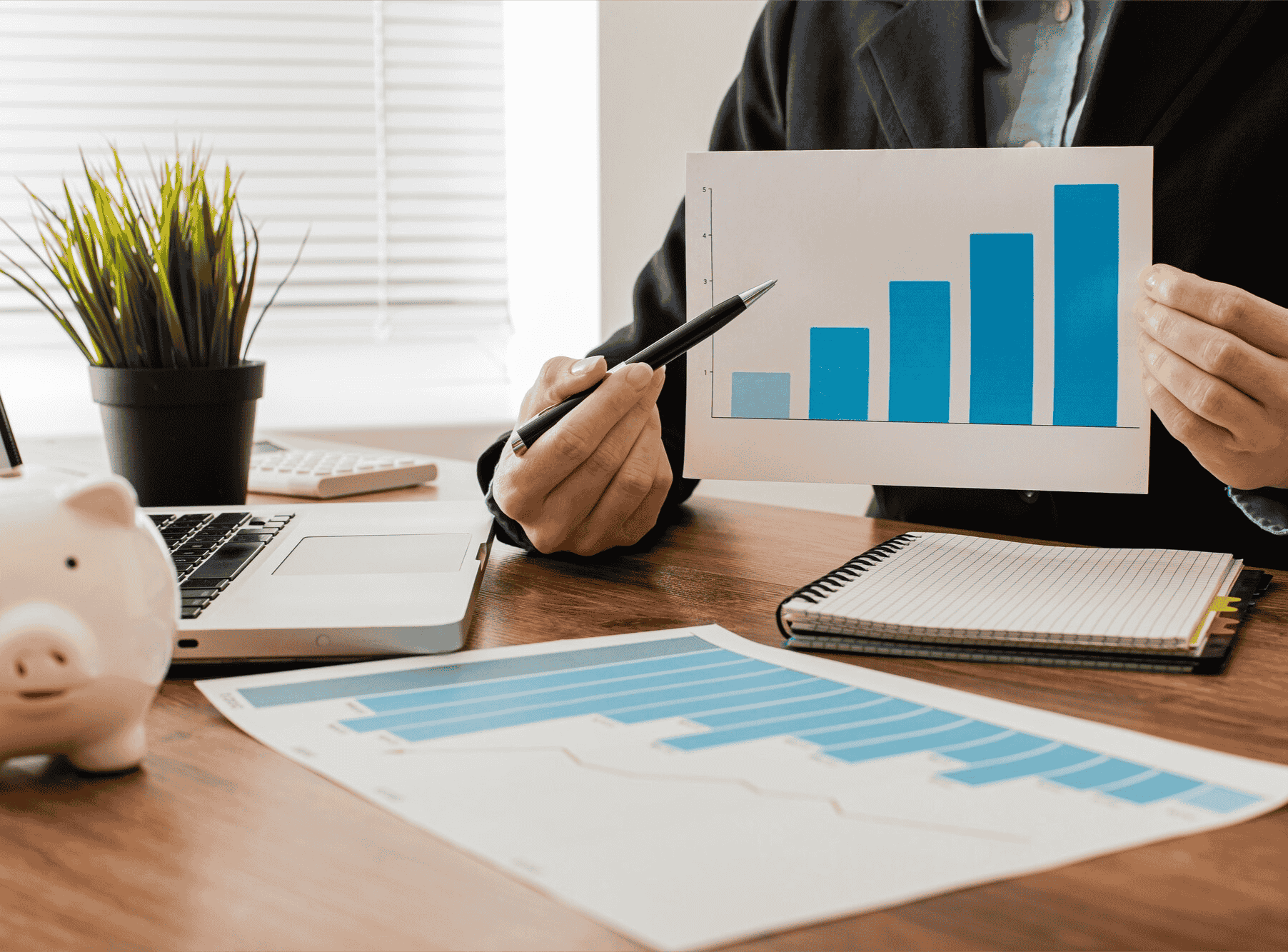 Offset Mortgages